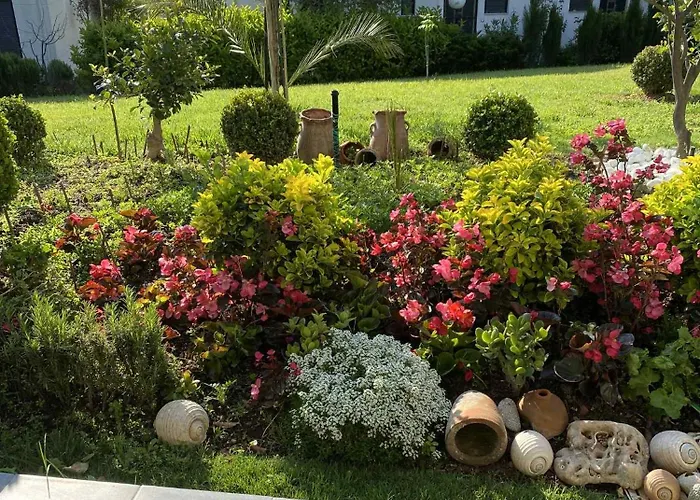 Daire Mema's Maisonette! *